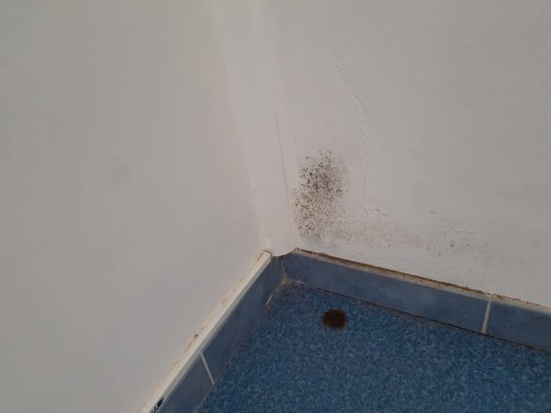 mur de salle de bain avant rénovation de peinture